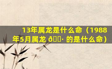 13年属龙是什么命（1988年5月属龙 🌷 的是什么命）